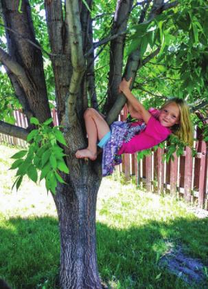 Trees provide many benefits and are worth the wait for growth