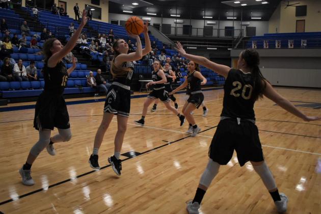Junior Renee Javorsky jumps up to shoot.