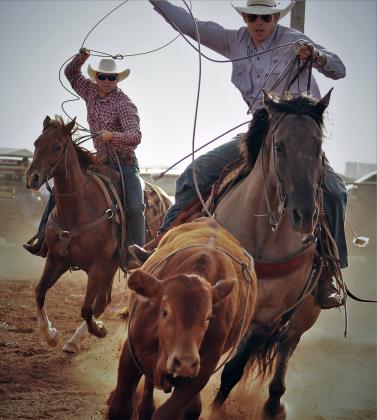 Shawn Wyatt &amp; Zach Weichel chase down their steer as they attempt to capture it. PHOTOS BY CARRIE WYATT