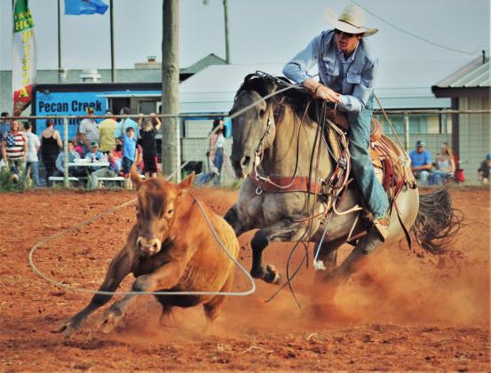 Zach Weichel lassos a steer during the rodeo. PHOTOS BY CARRIE WYATT