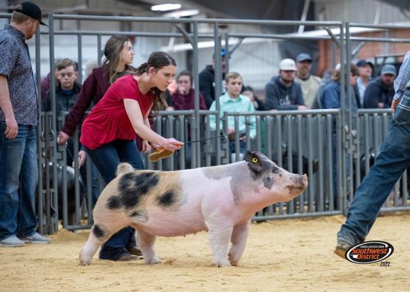 Mckenna Wedel, Cordell FFA Chapter