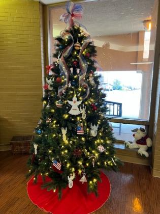 Burns Flat-Dill City 4-H Club Weekly Report