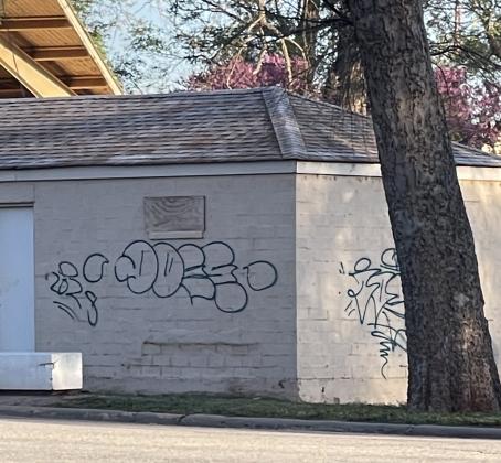 Several buildings around Lee Park sustained damage after unknown vandals struck