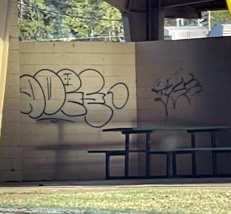 Several buildings around Lee Park sustained damage after unknown vandals struck