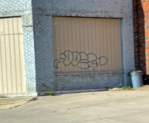 Several buildings around Lee Park sustained damage after unknown vandals struck