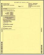 Last week to request absentee ballots for February 13th election
