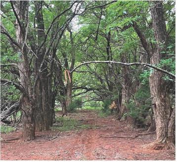 Adams Lake set to welcome guests