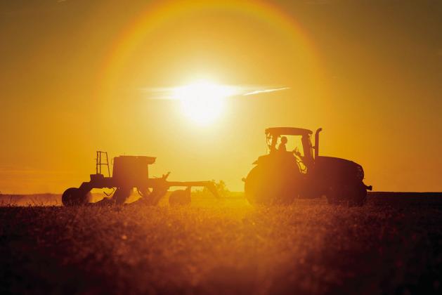 The many ways a thriving agricultural sector is beneficial