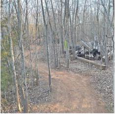 Trails wind through wooded areas at Selman’s Green Scene in Cordell PHOTOS BY DALE SELMAN