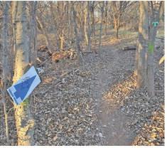 Reinvigorating Cordell, one step (or ride) at a time