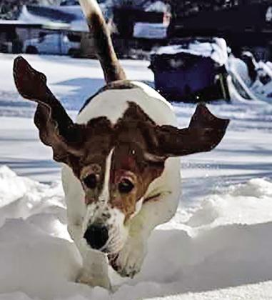 A WINTER WONDERLAND