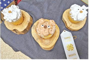 Washita County 4-H kids fight to win Cupcake Wars