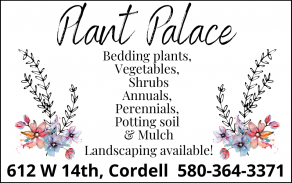Plant Palace - ph. 580.364.3371