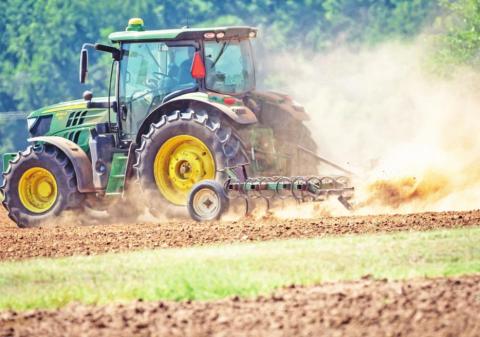 Basic rules for planting wheat this fall season