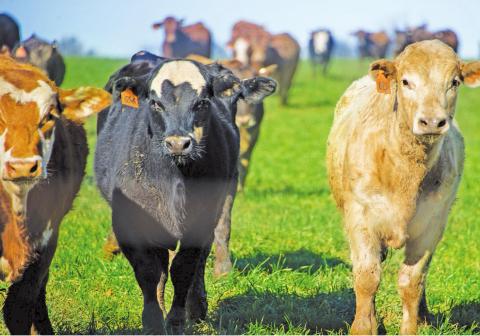 State and National leaders to speak at Oklahoma Independent Stockgrowers Association Convention