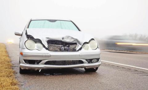 Oh Deer! Drive with caution during changing seasons