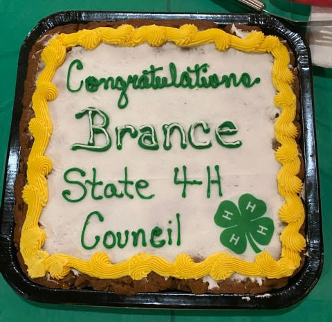 Cake