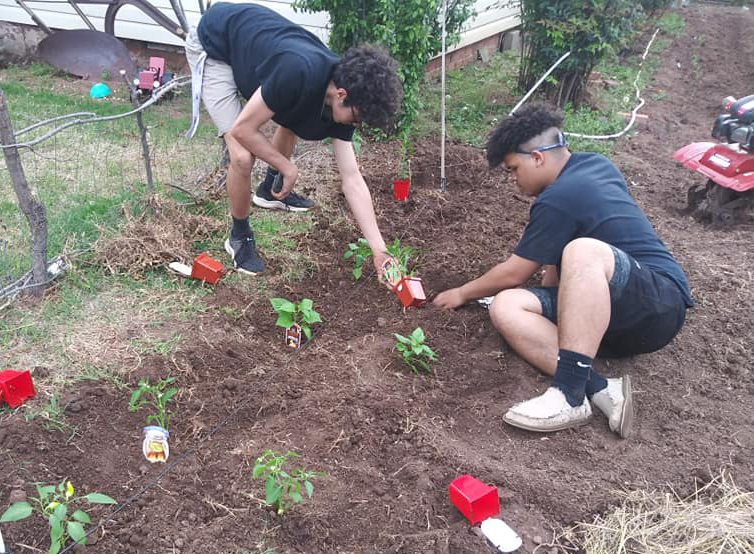 Tending to the garden.