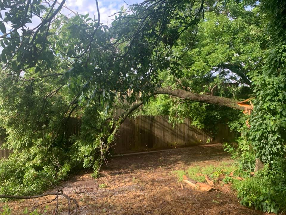 Katie Kaster’s fence the day of the storm. PHOTO BY KATIE KASTNER
