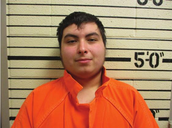 Ricky Darrel Jackson, Jr. WCSO Booking Photo