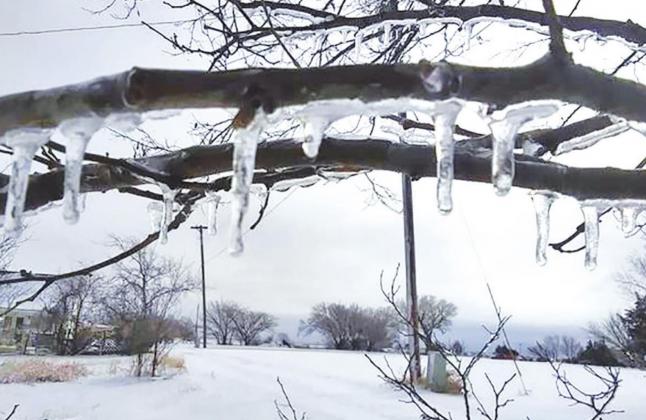 WINTER ARRIVES