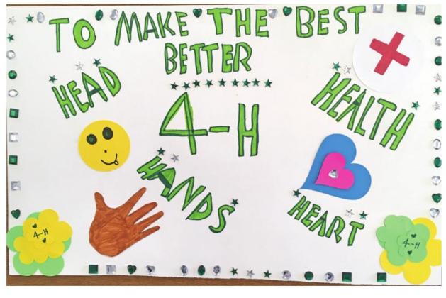 MIDDLE RIGHT: Maddux Funkhouser of Sentinel won first place for 4-H theme.