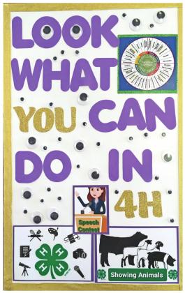 BOTTOM RIGHT: Evangelene Denny of Burns Flat-Dill City won first place in four classes: 4-H promotional, four photos, identifying common mistakes and best individual photo.