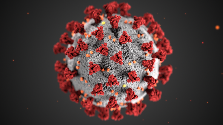 Coronavirus nodule