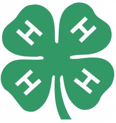 Local 4-H Holds Speech Contest