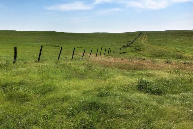 Producers may benefit from CRP Grasslands program signup
