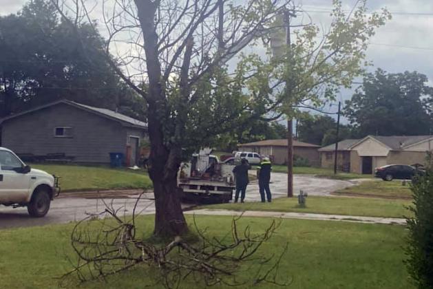 A fallen tree branch in the yard of one of Meyer’s nearby neighbors. City workers can be seen in the background repairng electric lines. PHOTO BY BETH GROVES MEYER,