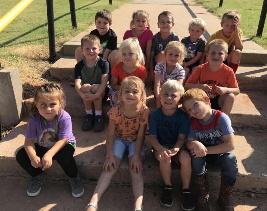 Canute Cloverbuds Back row: Richard Wright, Rainsly Warnke, Dax Teeter, Winston Harrison,  Francis Harrison. Middle row: Keltyn Kirk, Georgann Harrison, Gentry Warnke, Kahnan Kirk.  Front Row: Adliegh Edler, Adley Visnieski, Layton Mckee, Fulton Harrison