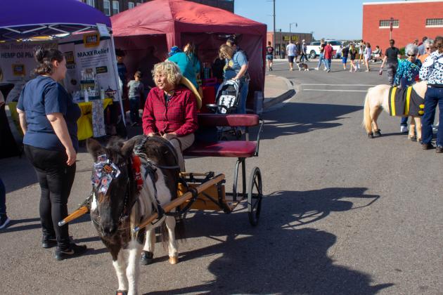 PUMPKIN FESTIVAL 2021 IS HUGE SUCCESS