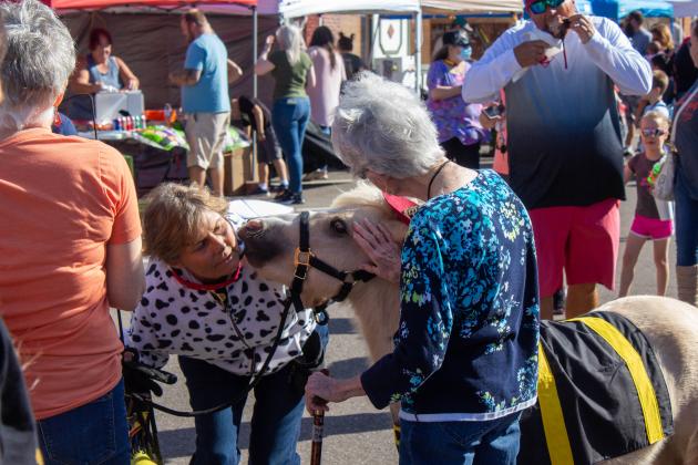 PUMPKIN FESTIVAL 2021 IS HUGE SUCCESS