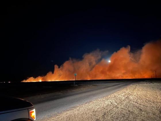Photo from Tracy Dawn Lawson-Nickel
