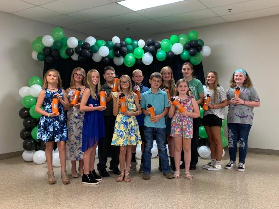 Junior Division Project Medal Awards
