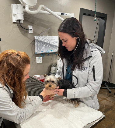 Dr. Devyn Weichel and Veterinary Assistant Raylee Bookout