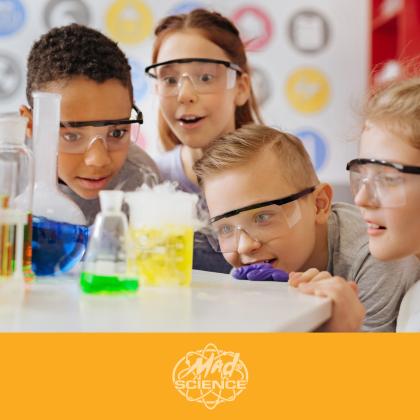 Mad Science