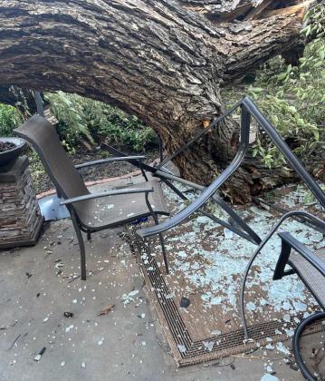A local resident, Brad Jones, had discovered the damage to the elements of his backyard oasis after what locals are calling a "mother tree" split and fell into his backyard. Photo by Phil Kliewer