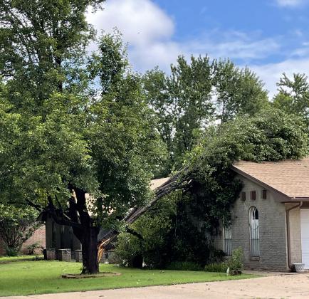 A home at 901 N College St woke up to part of its front yard tree broken and leaning against the house. Photo by Brooklynn Peek