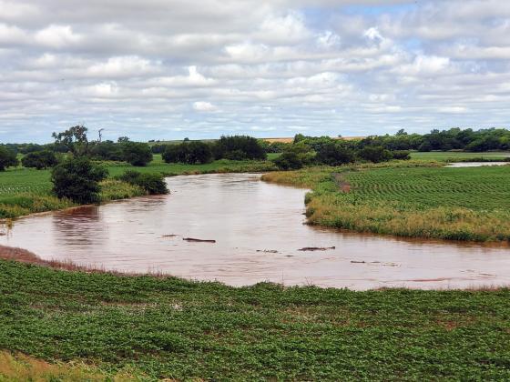 Due to the heavy rainfall, the Washita River had high water levels. Photo by Tristan Williams