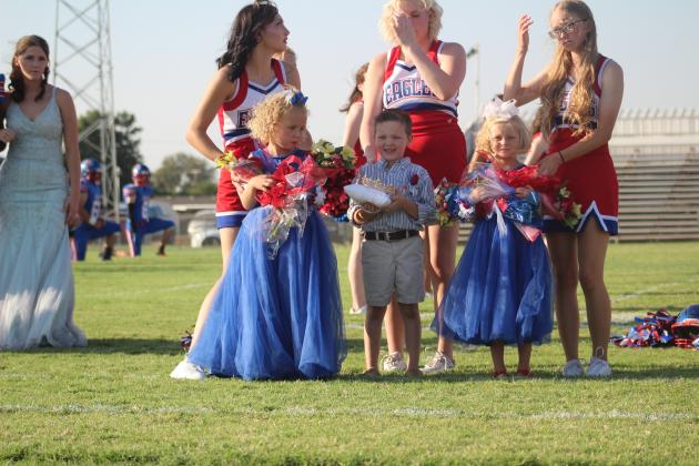 Miniature Escorts