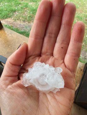 Photo sent in by Alexis Sutton