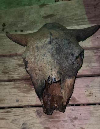 What a find!