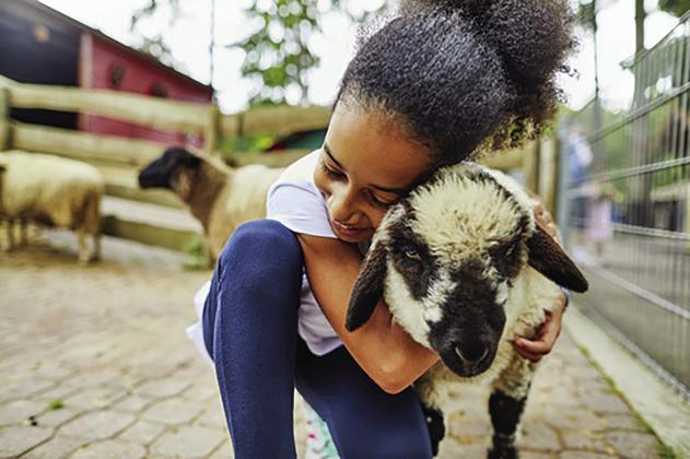 Come one, come all to the Washita County Free Fair