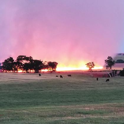 The flames from this controlled burn south of Cordell on June 11 towered over nearby trees. Bob Henline | The Cordell Beacon
