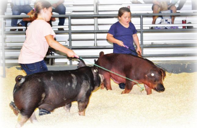 113th Washita County Free Fair