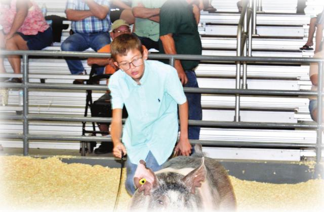 113th Washita County Free Fair