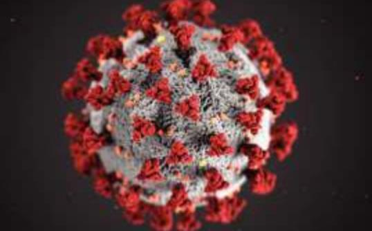 This illustration created at the Centers for Disease Control and Prevention reveals ultra-structural morphology exhibited by coronaviruses. COURTESY PHOTO BY CDC