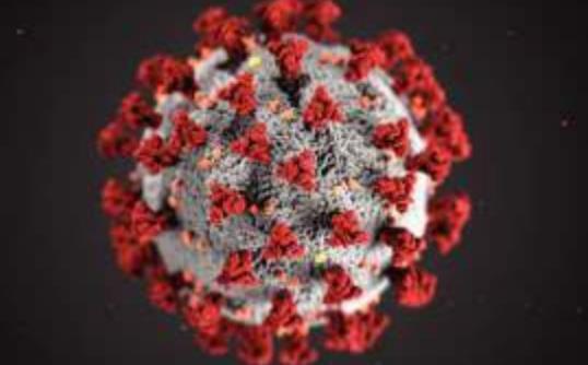 This illustration created at the Centers for Disease Control and Prevention reveals ultra-structural morphology exhibited by coronaviruses. COURTESY PHOTO BY CDC